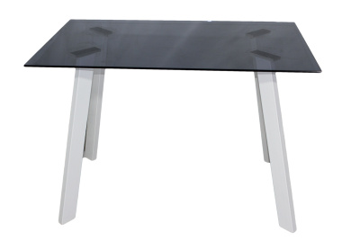 Стол обеденный DT-09 (Дымчатый/Белый) 